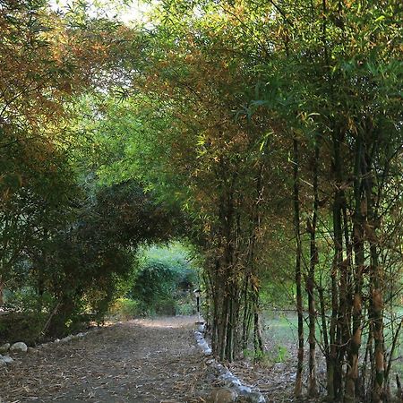 Parwati Wild Abode Corbett Resort Dhela Esterno foto